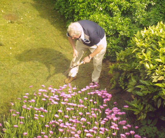 elderly man gardening